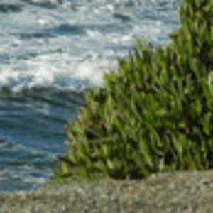 Meet your Posher, M.